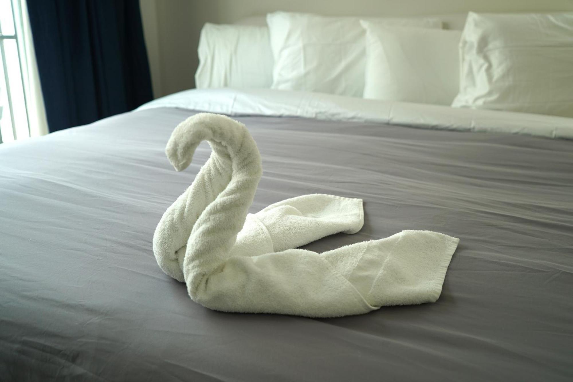 Deluxe Apartments At The Congress Miami Beach Cameră foto